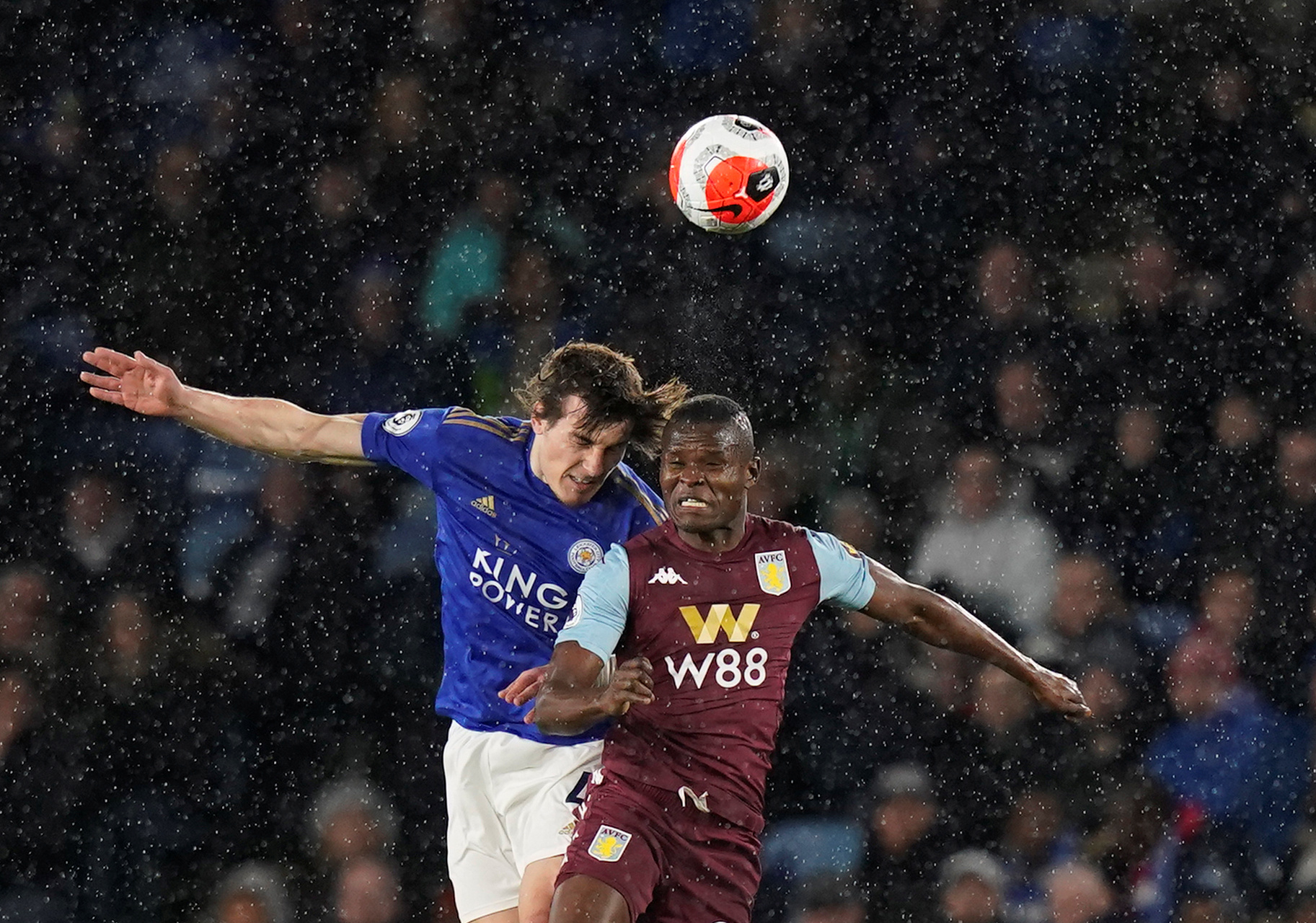 的培养并没 的培养并没